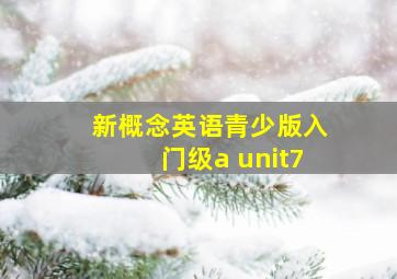 新概念英语青少版入门级a unit7